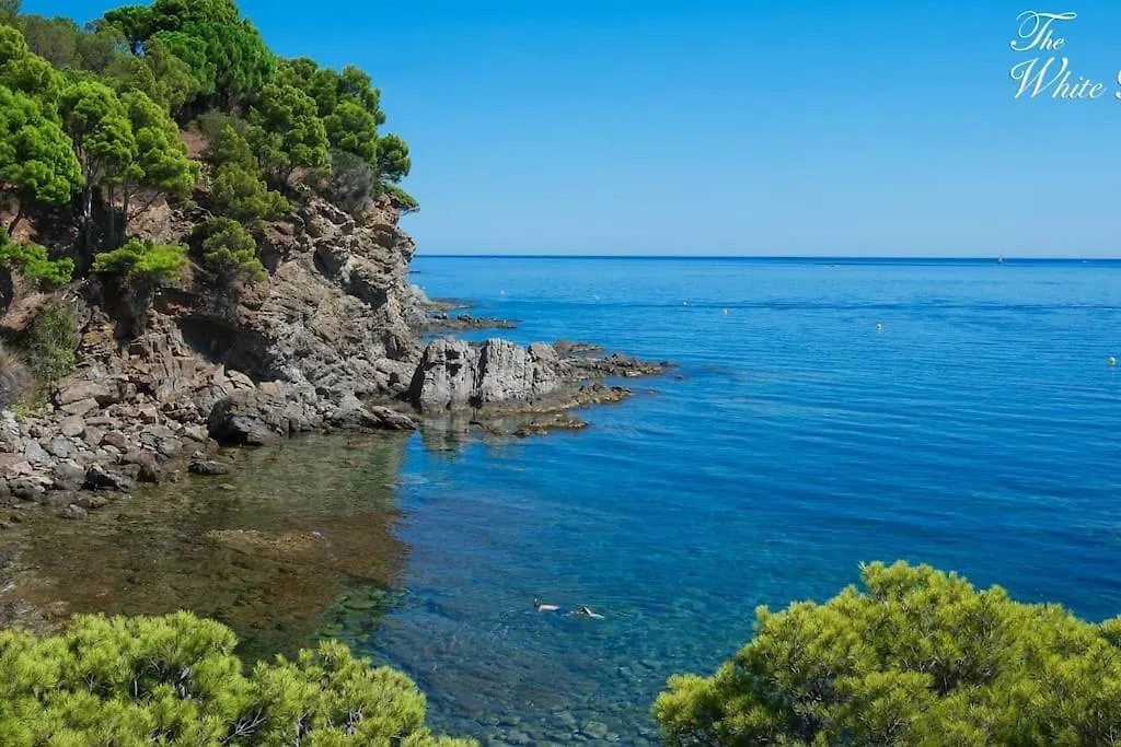 Waterfront Villa With Breathtaking Views And Pool Colera