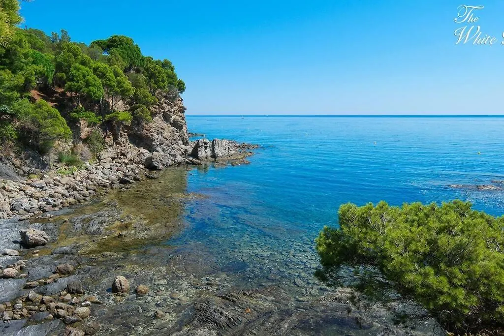 Waterfront Villa With Breathtaking Views And Pool Colera