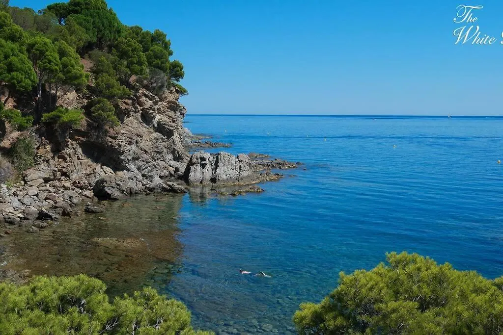 Waterfront Villa With Breathtaking Views And Pool Colera