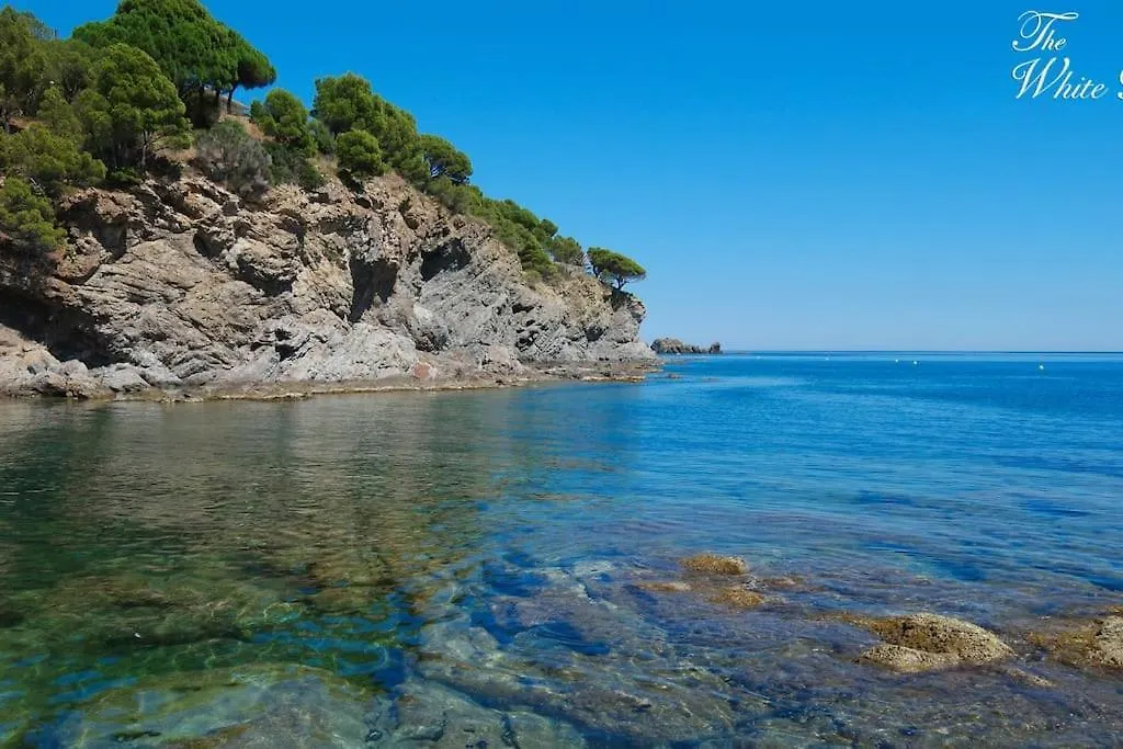 Waterfront Villa With Breathtaking Views And Pool Colera Spain